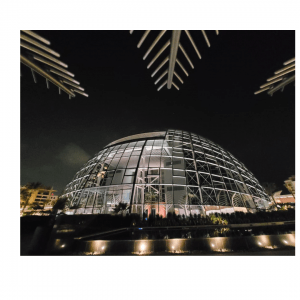 Read more about the article Kupolas šventėms: pliusai ir minusai bei į ką reikėtų atkreipti dėmesį