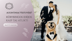 Read more about the article Vestuvėse augintiniai? Pateikiame kūrybingas idėjas kaip tai atlikti